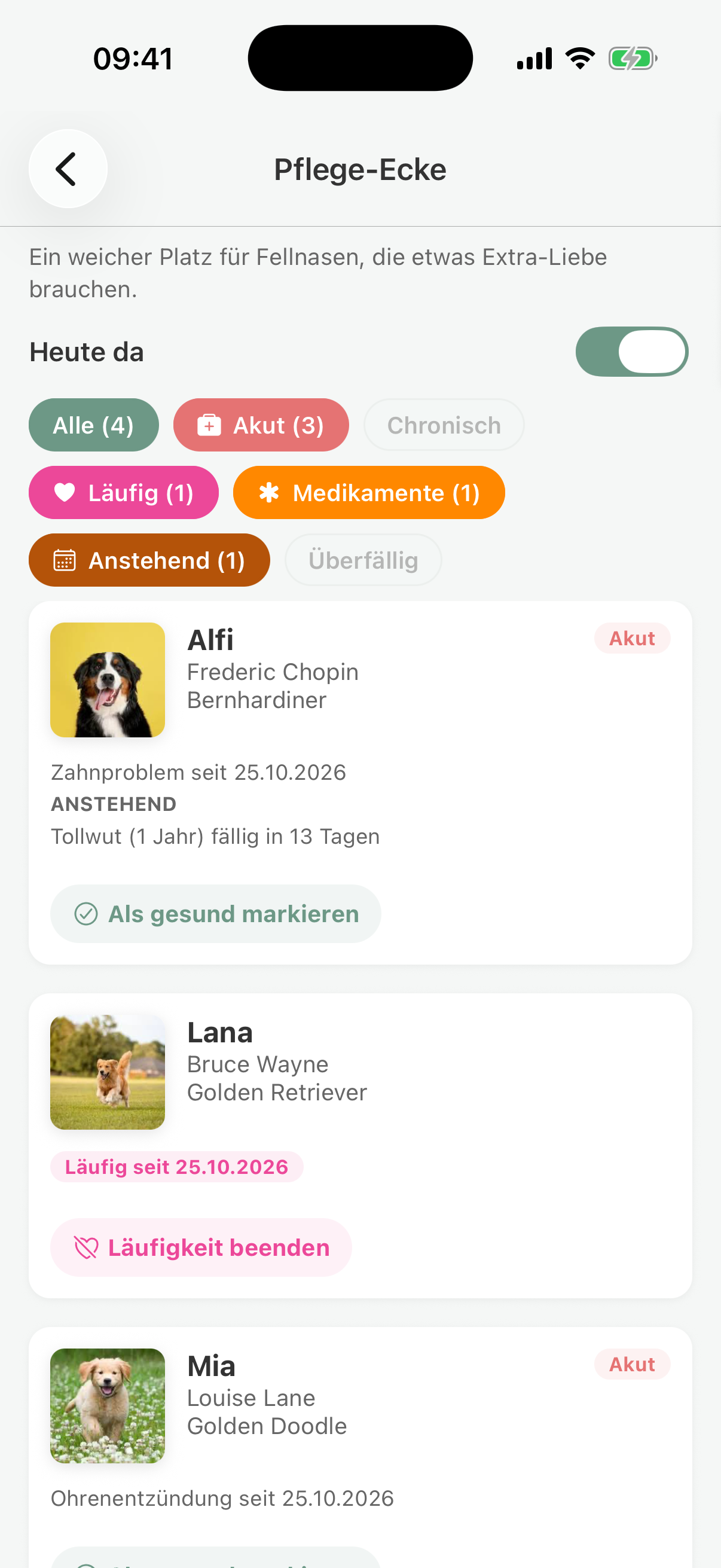 Care corner in pawganizer with acute cases, dogs in heat, medication, and visits that are due